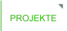 PROJEKTE